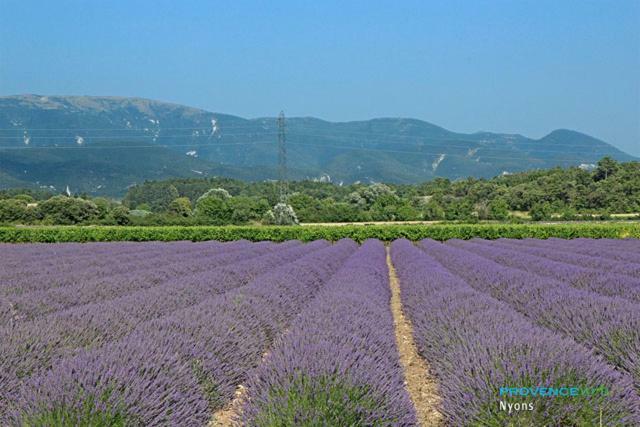 Mirabel-aux-Baronnies Villa Les Pins מראה חיצוני תמונה